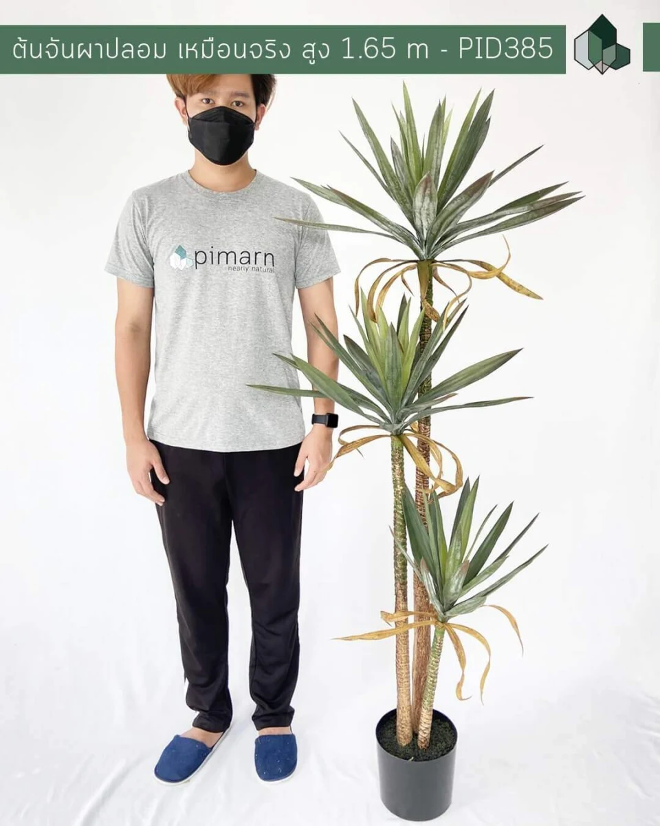 ต้นจันผาปลอม เหมือนจริง  สูง 1.65 M