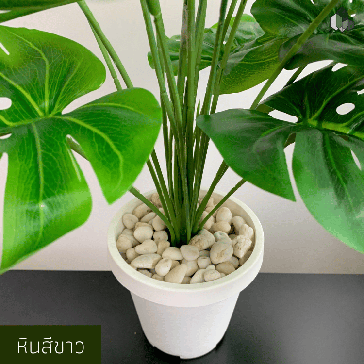 หินขาว หินขาวแต่งสวน หินแม่น้ำ 1 KG
