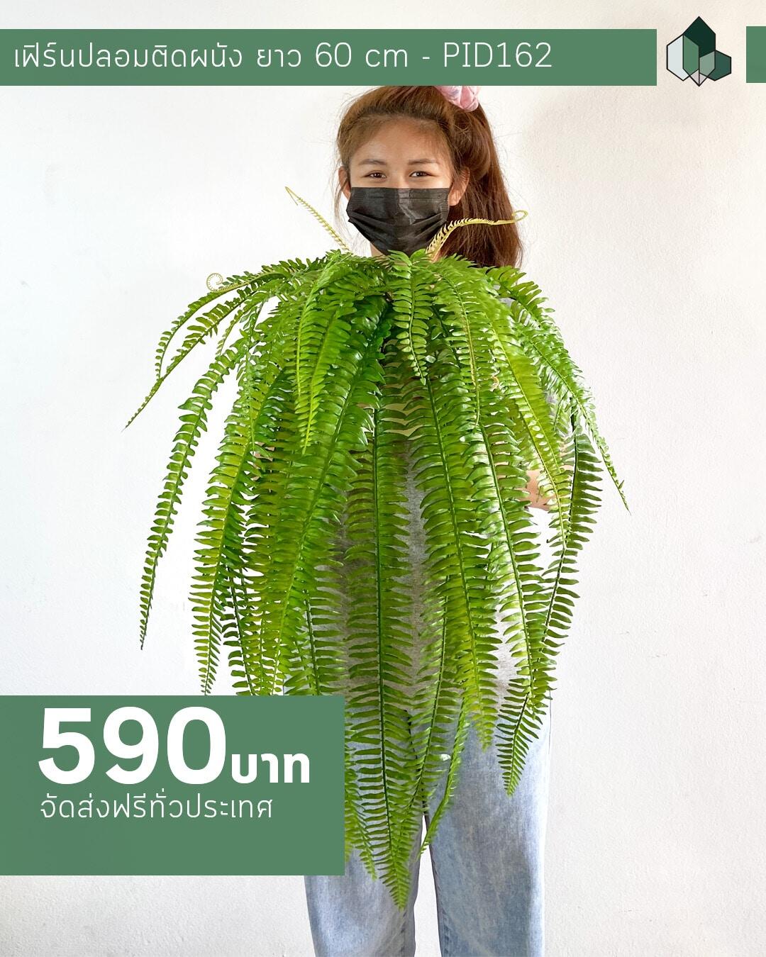 เฟิร์นปลอมติดผนัง ยาว 60 CM