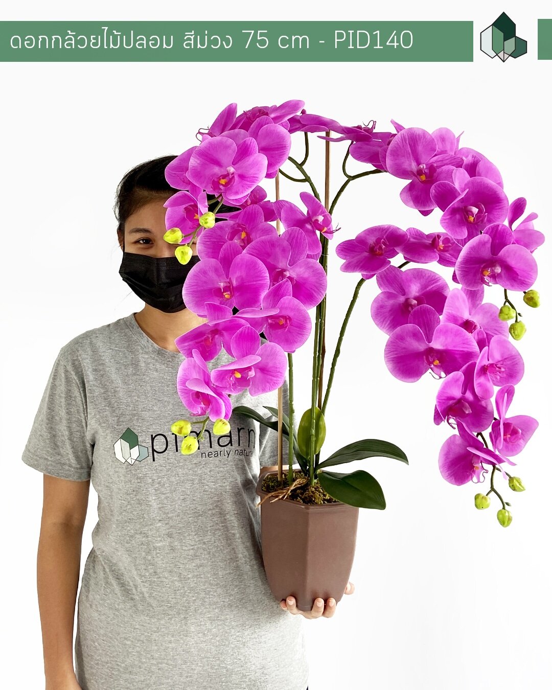 ดอกกล้วยไม้ปลอม สีม่วง สูง 70 CM
