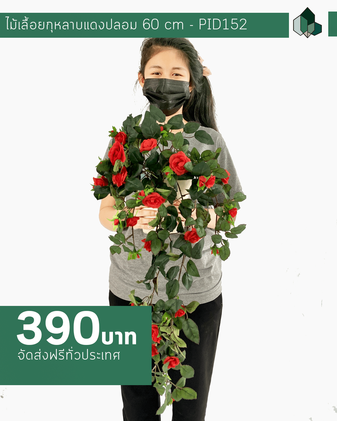 ไม้เลื้อยกุหลาบแดง ยาว 60 cm