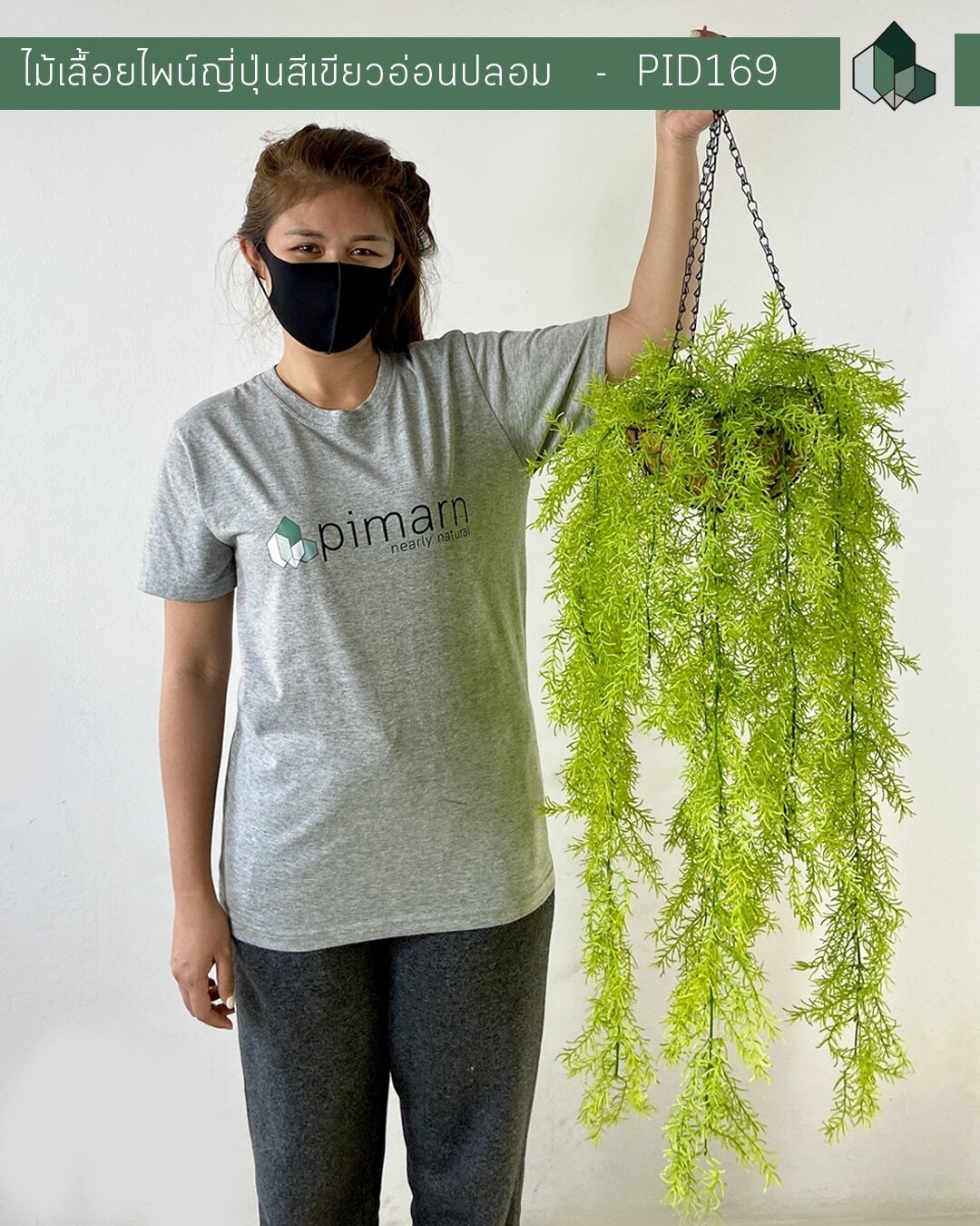 ไม้เลื้อยไพน์ญี่ปุ่นสีเขียวอ่อนปลอม แบบแขวน 70 CM