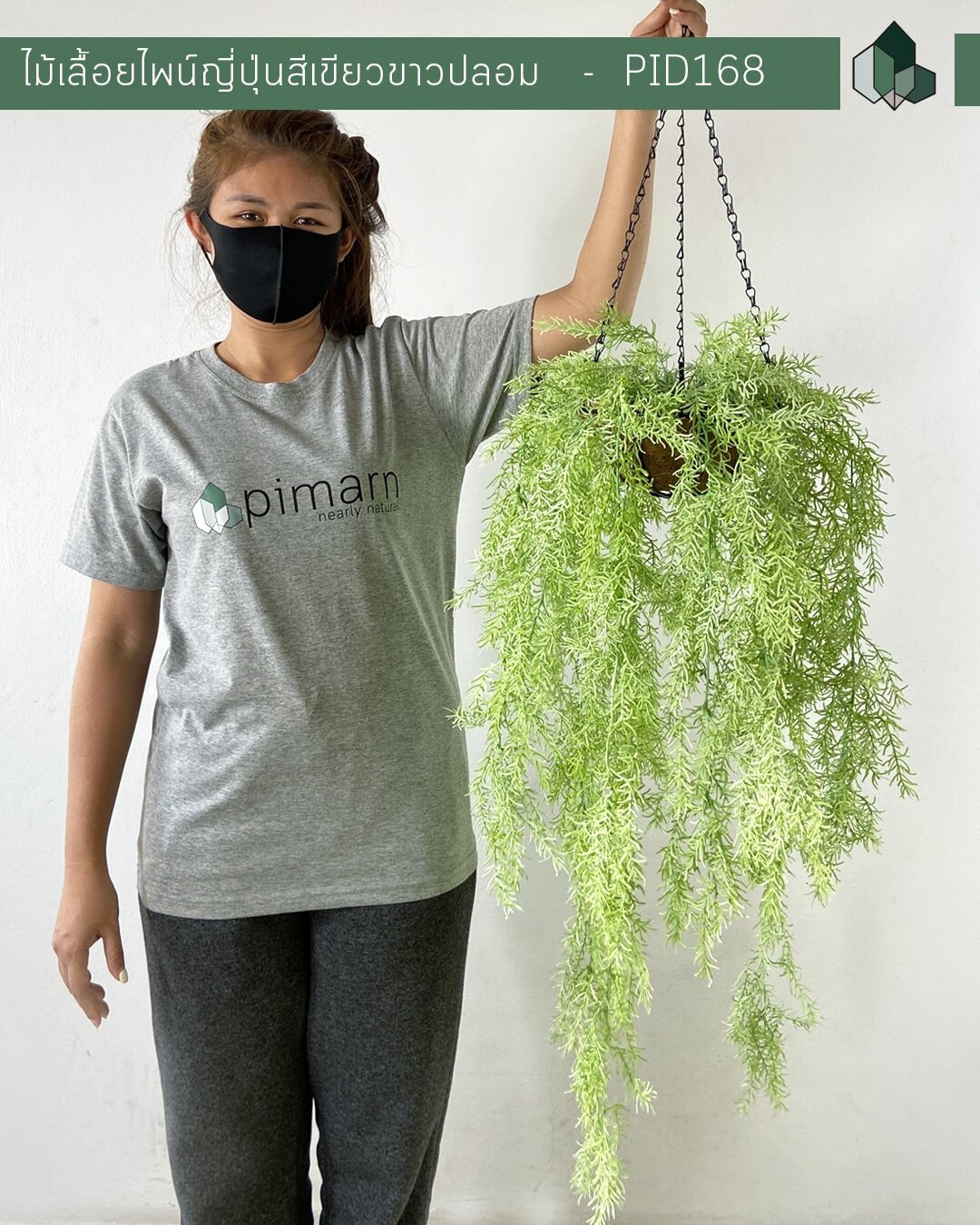 ไม้เลื้อยไพน์ญี่ปุ่นสีเขียวขาวปลอม แบบแขวน 70 CM
