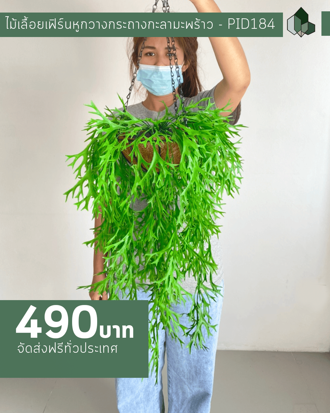 ไม้เลื้อยเฟิร์นหูกวางปลอม สีเขียว 50 CM แบบแขวนกระถางใยมะพร้าว