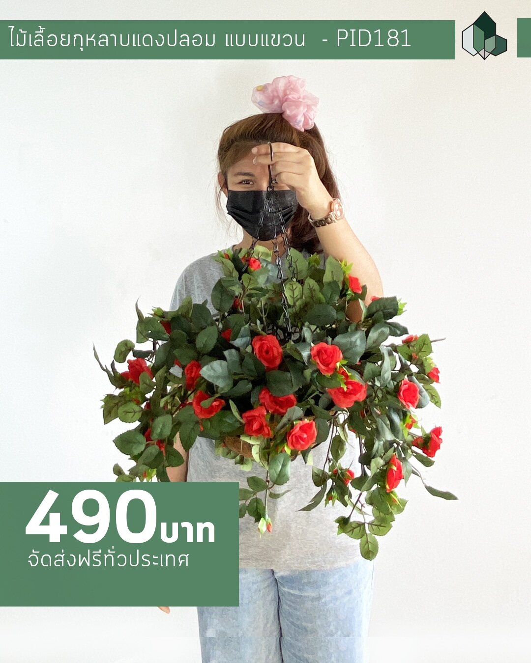 ไม้เลื้อยกุหลาบสีแดงปลอม แบบแขวนกระถางใยมะพร้าว