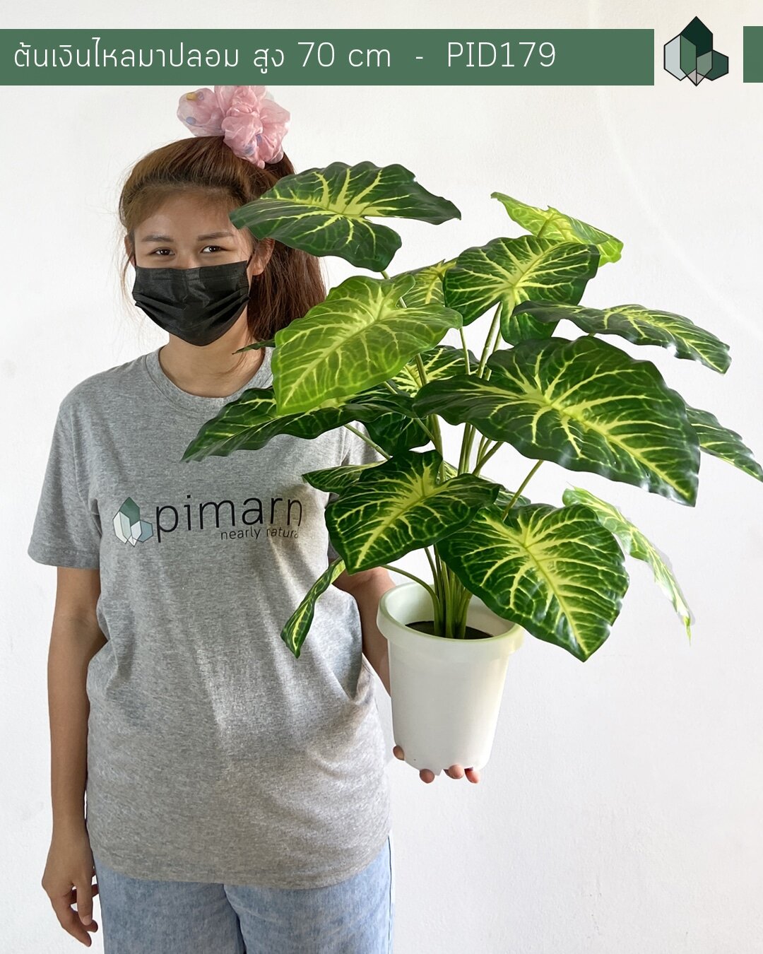 ต้นเงินไหลมาปลอม สูง 70 CM