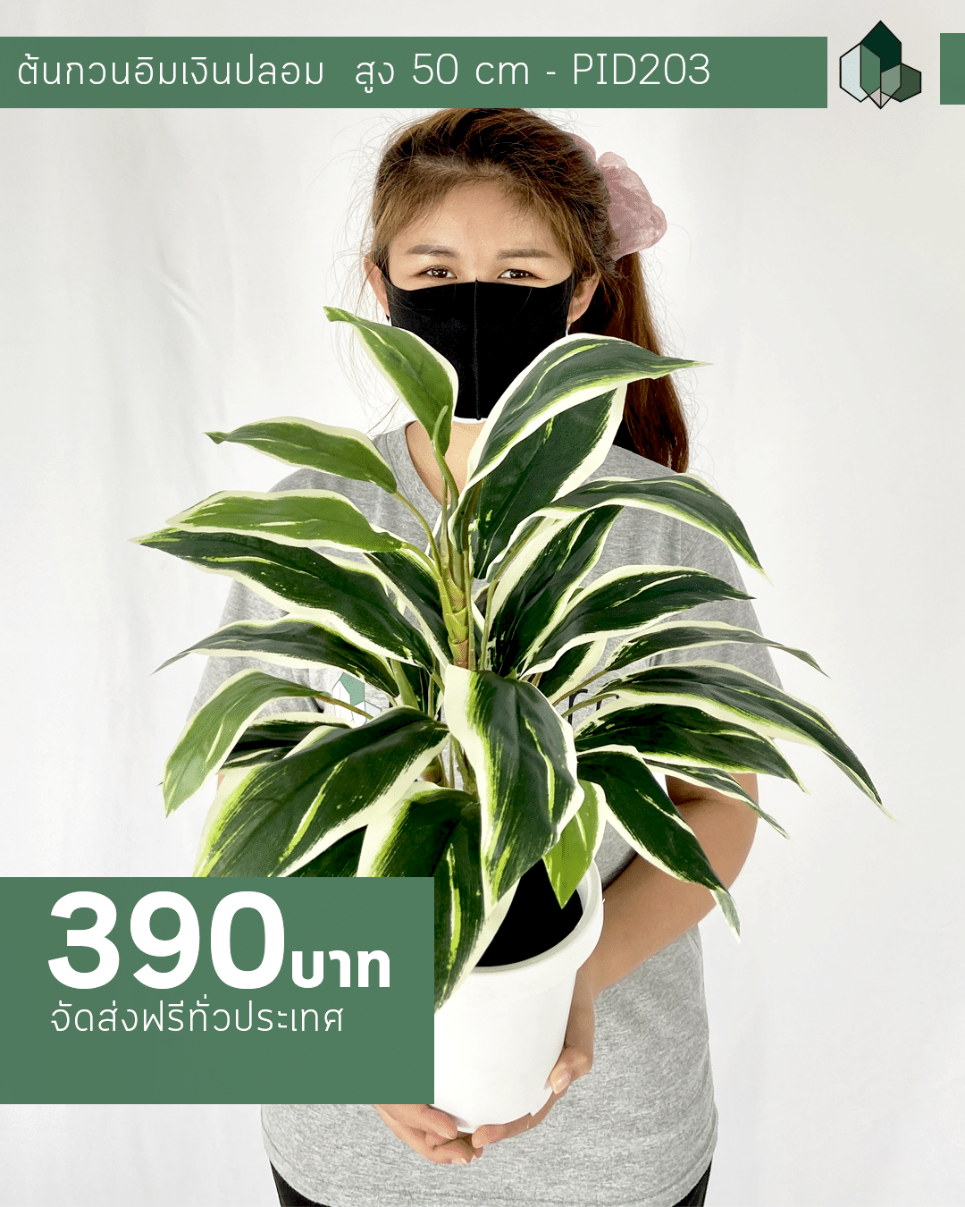 ต้นกวนอิมเงินปลอม สูง 50 CM