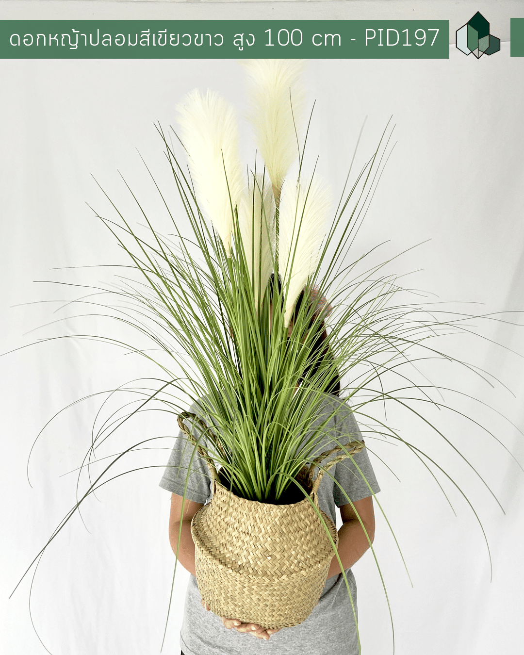 ดอกหญ้าปลอมสีเขียว ดอกขาว สูง 100 CM พร้อมตะกร้าจูด
