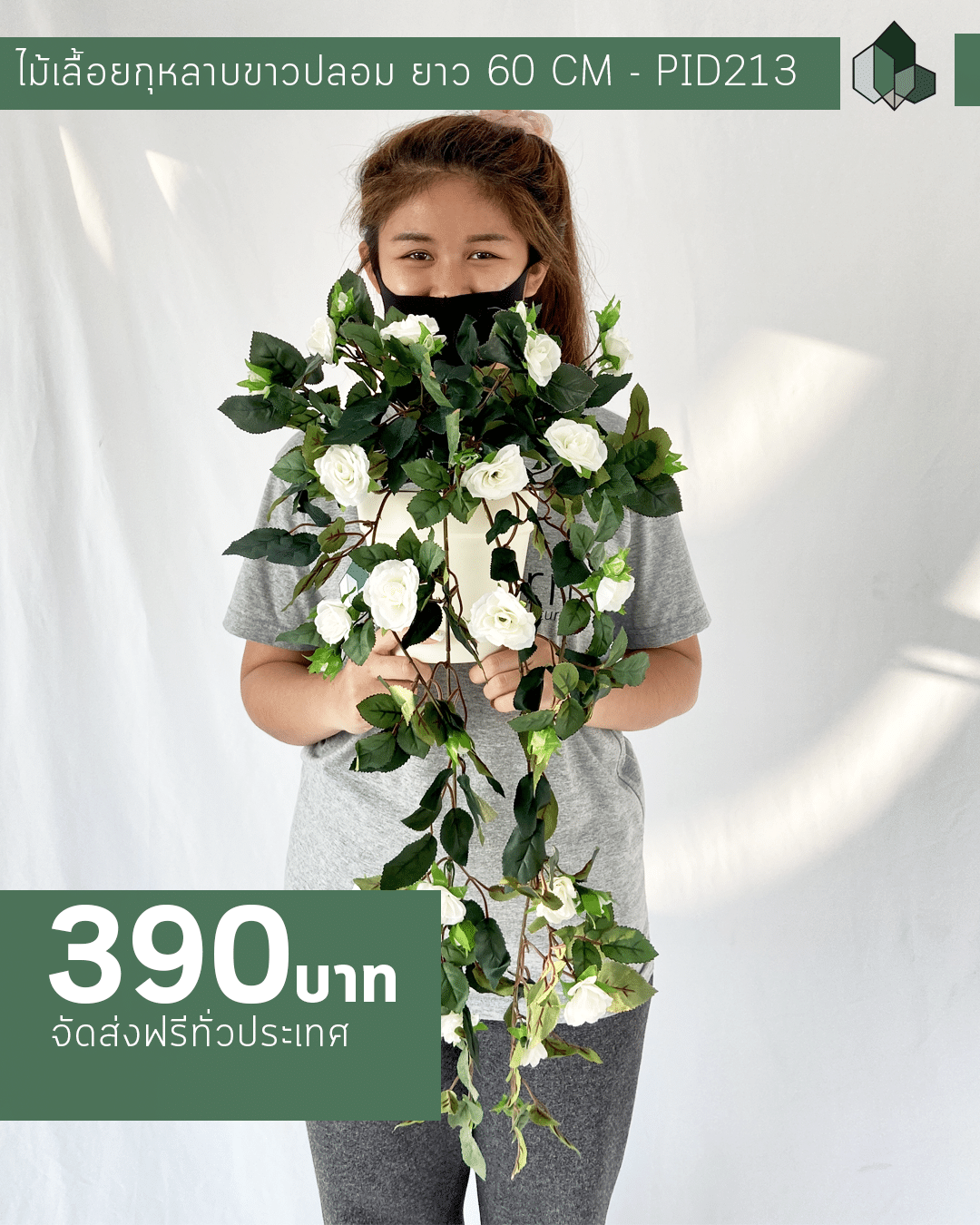ไม้เลื้อยกุหลาบขาวปลอม ยาว 60 cm