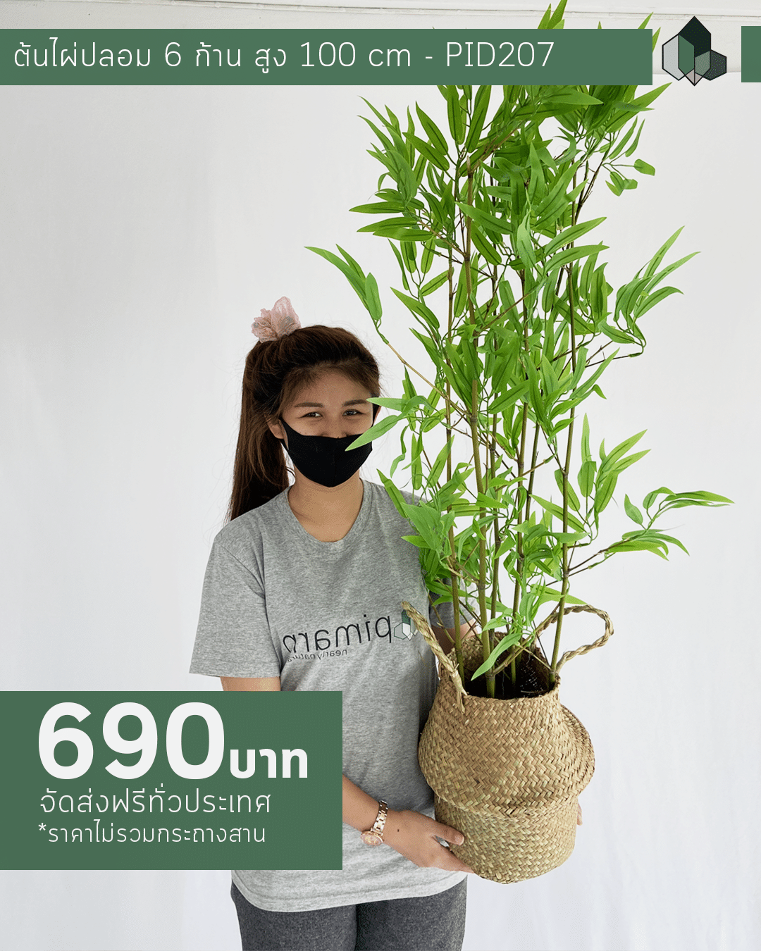 ต้นไผ่มงคลปลอม 6 ก้าน สูง 100CM