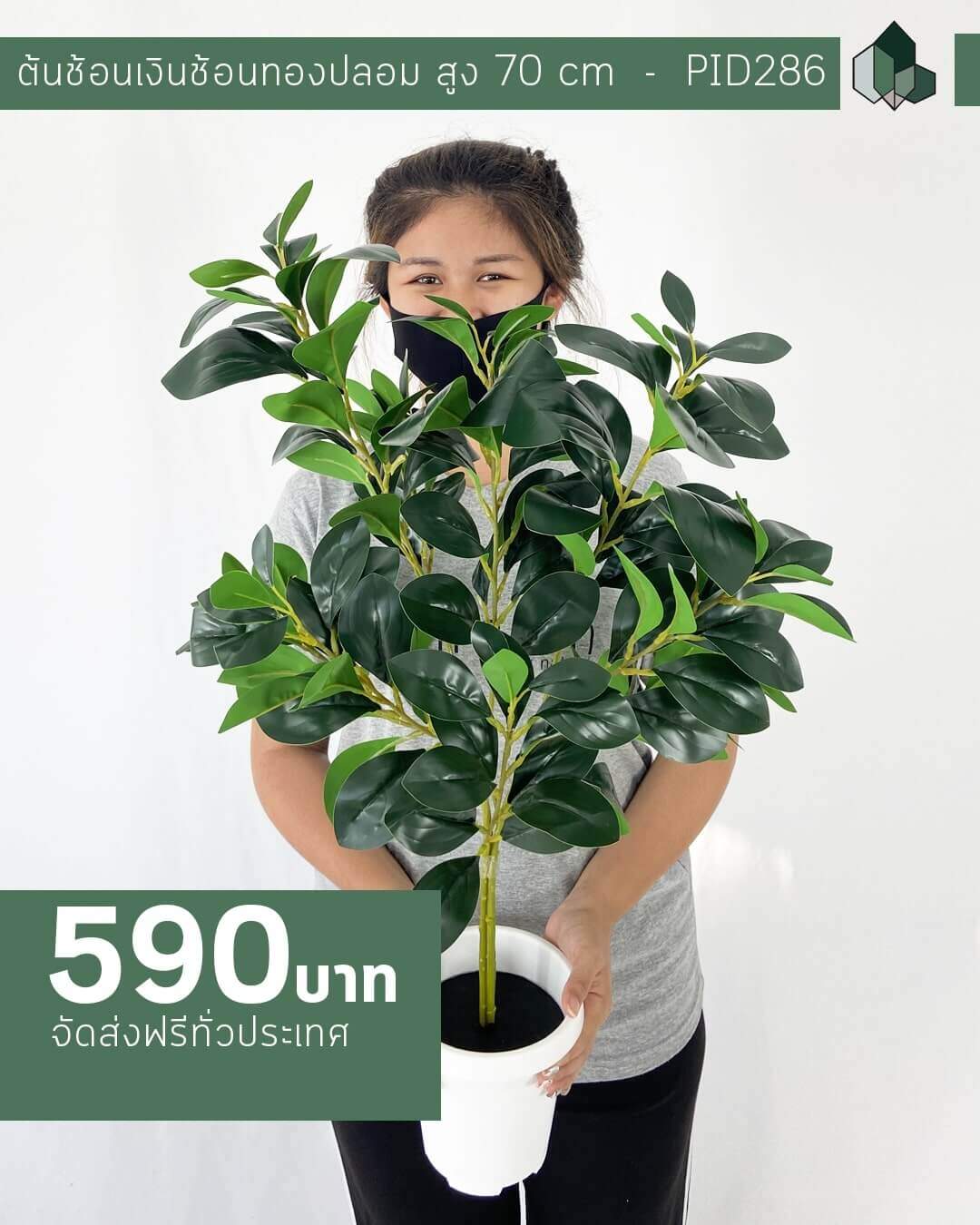 ต้นช้อนเงินช้อนทองปลอม สูง 70 CM