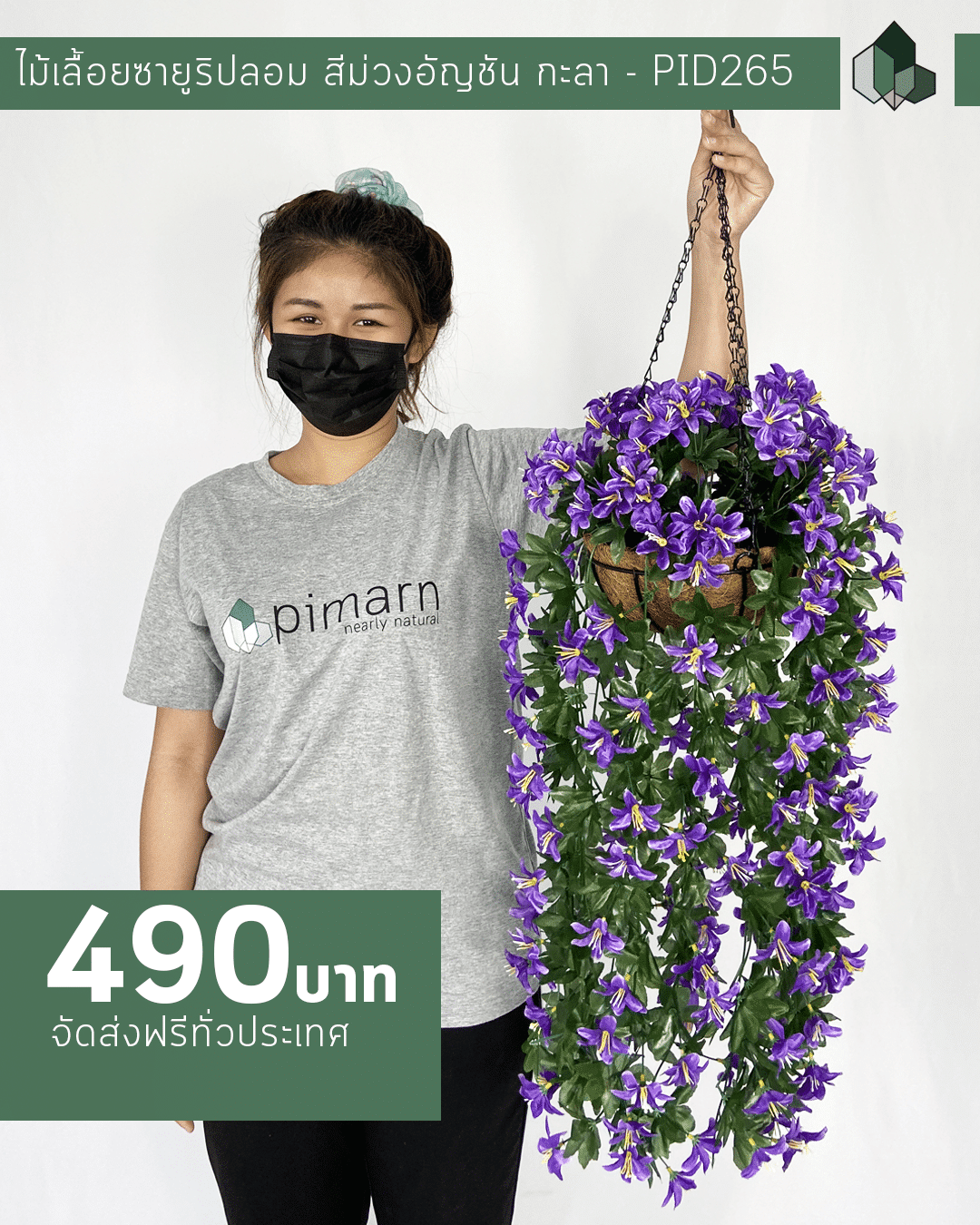 ไม้เลื้อยซายูริสีม่วงอัญชันปลอม ยาว 70 CM แบบแขวนกระถางใยมะพร้าว