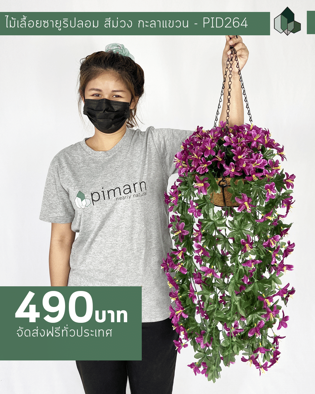 ไม้เลื้อยซายูริสีม่วงปลอม ยาว 70 CM แบบแขวนกระถางใยมะพร้าว