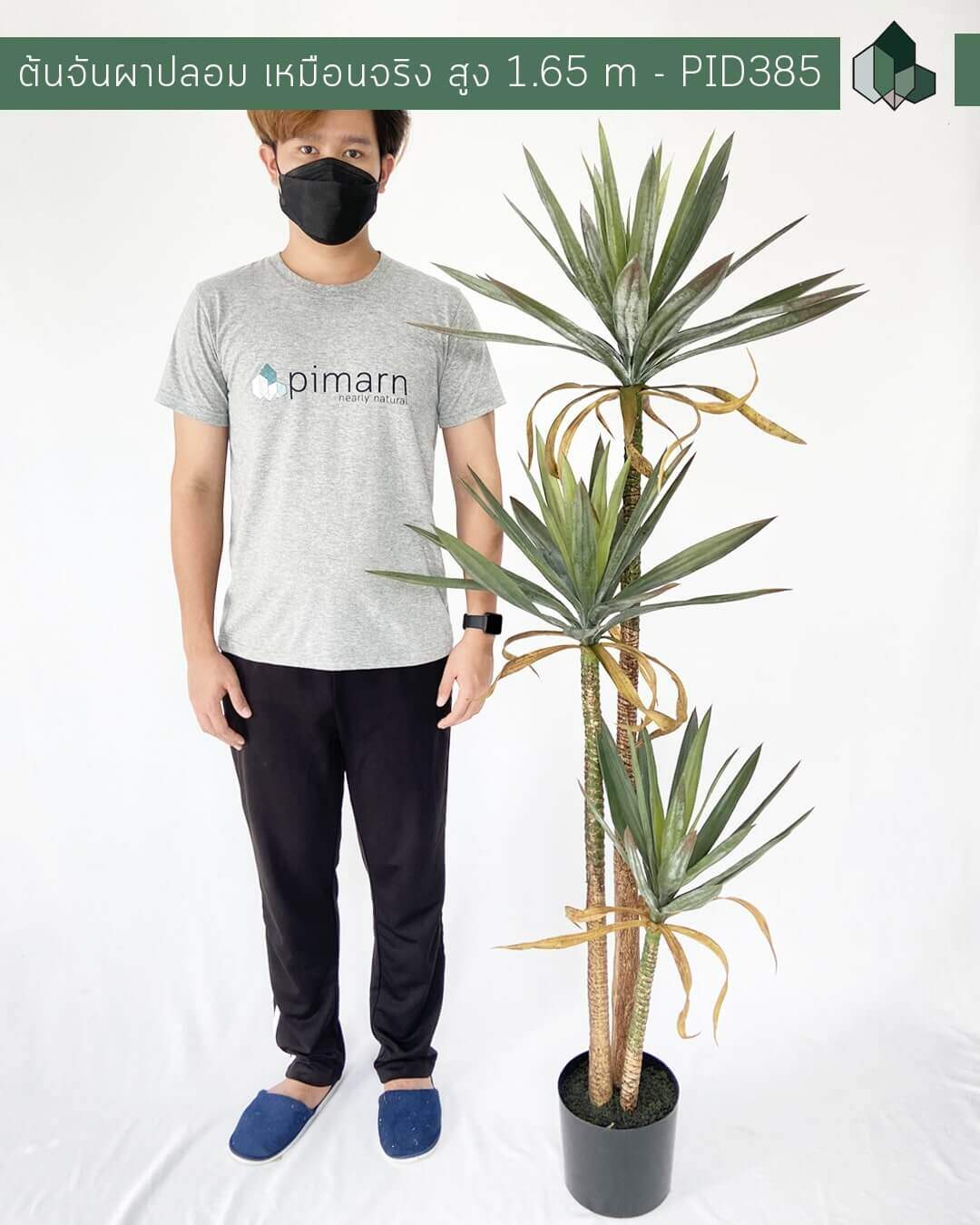 ต้นจันผาปลอม เหมือนจริง  สูง 1.65 M