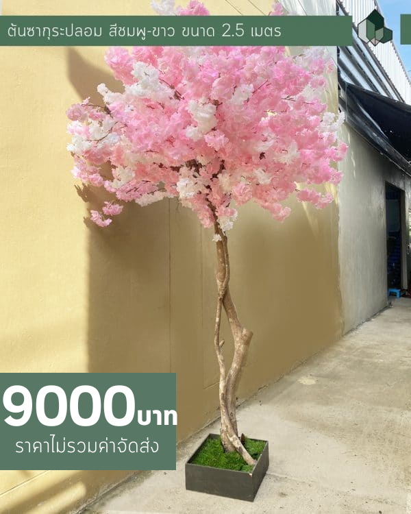 ต้นซากุระปลอม สีชมพู-ขาว สูง 2.5 เมตร (ตัวอย่างงานสั่งทำ)