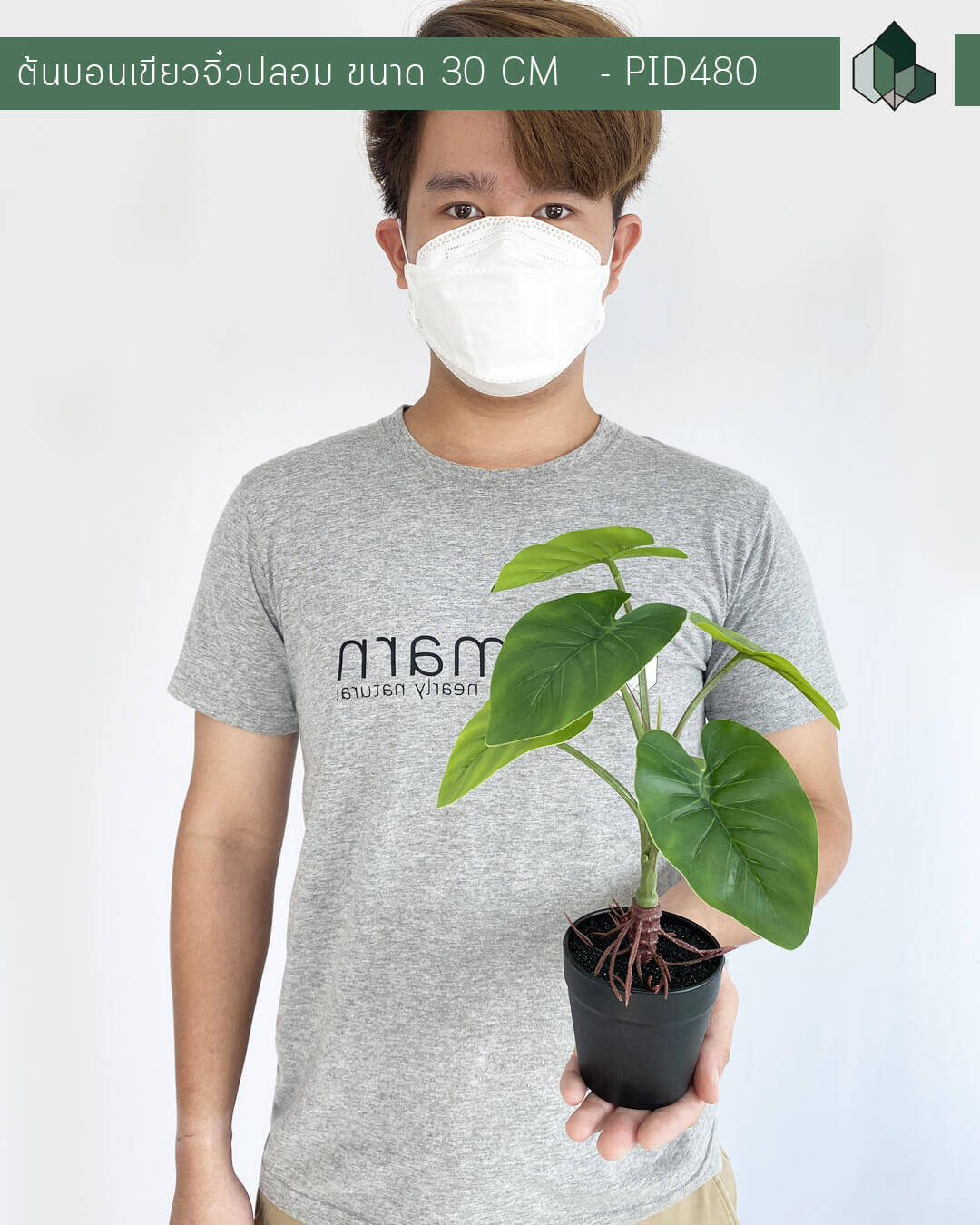 ต้นบอนเขียวจิ๋วปลอม สูง 30 CM กระถางสีดำ 3 นิ้ว