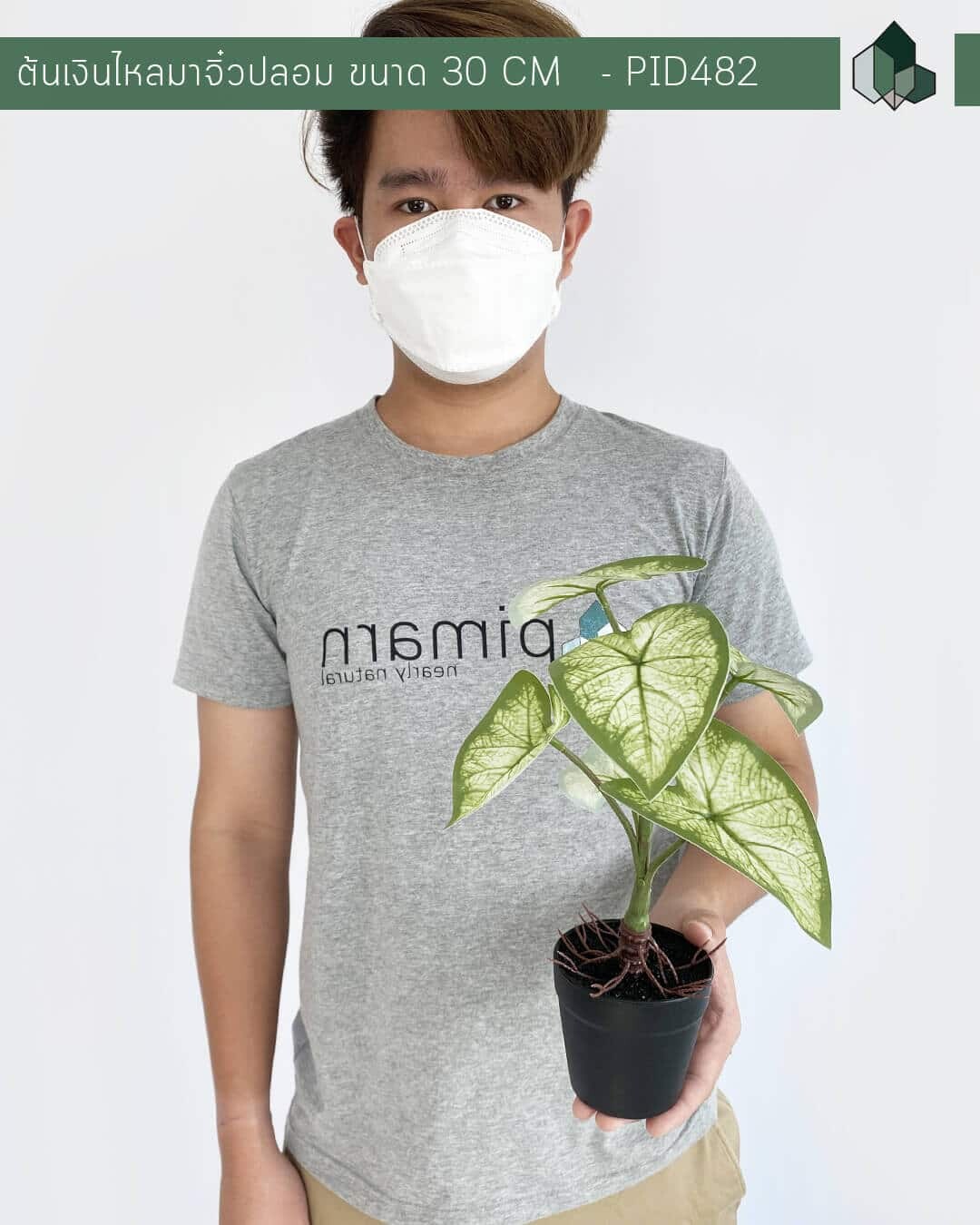 ต้นเงินไหลมาจิ๋วปลอม สูง 30 CM กระถางสีดำ 3 นิ้ว