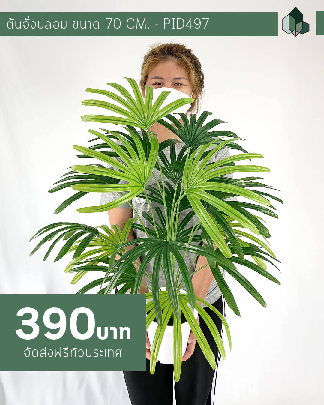 ต้นจั๋งปลอม สูง 70 CM