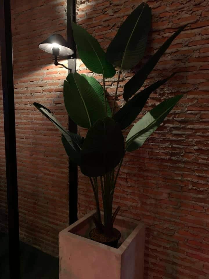 ร้านอาหาร01
