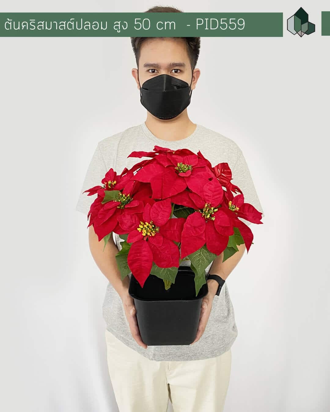 ต้นคริสต์มาสปลอม สีแดง 50 CM