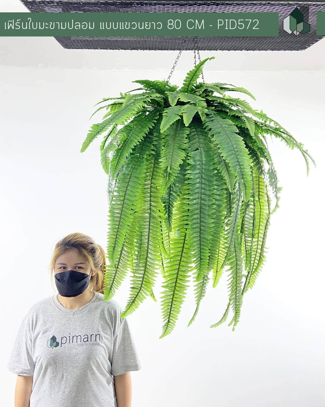 เฟิร์นใบมะขามปลอม ยาว 80 CM แบบแขวนกระถางใยมะพร้าว