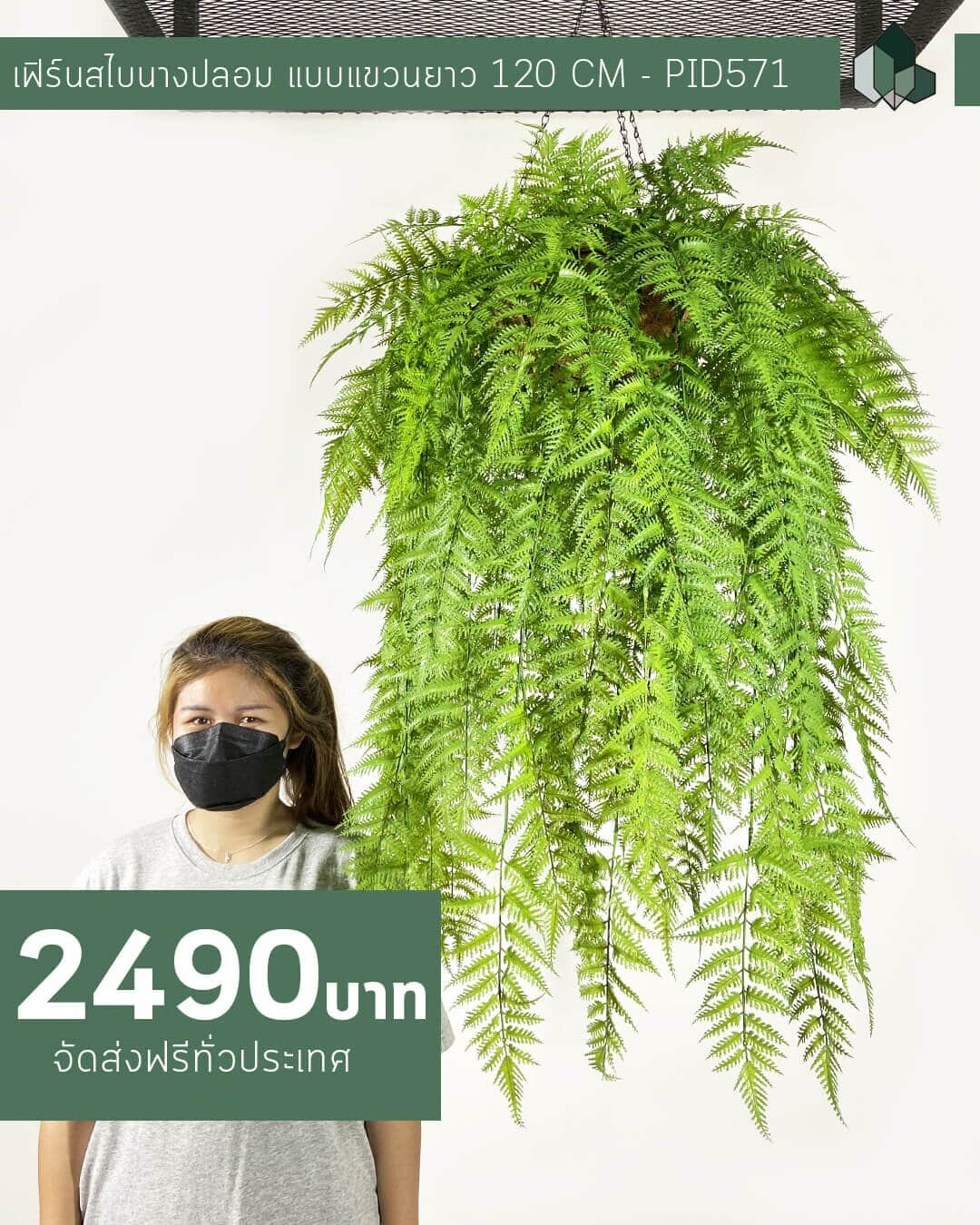เฟิร์นสไบนางปลอม ยาว 120 CM แบบแขวนกระถางใยมะพร้าว