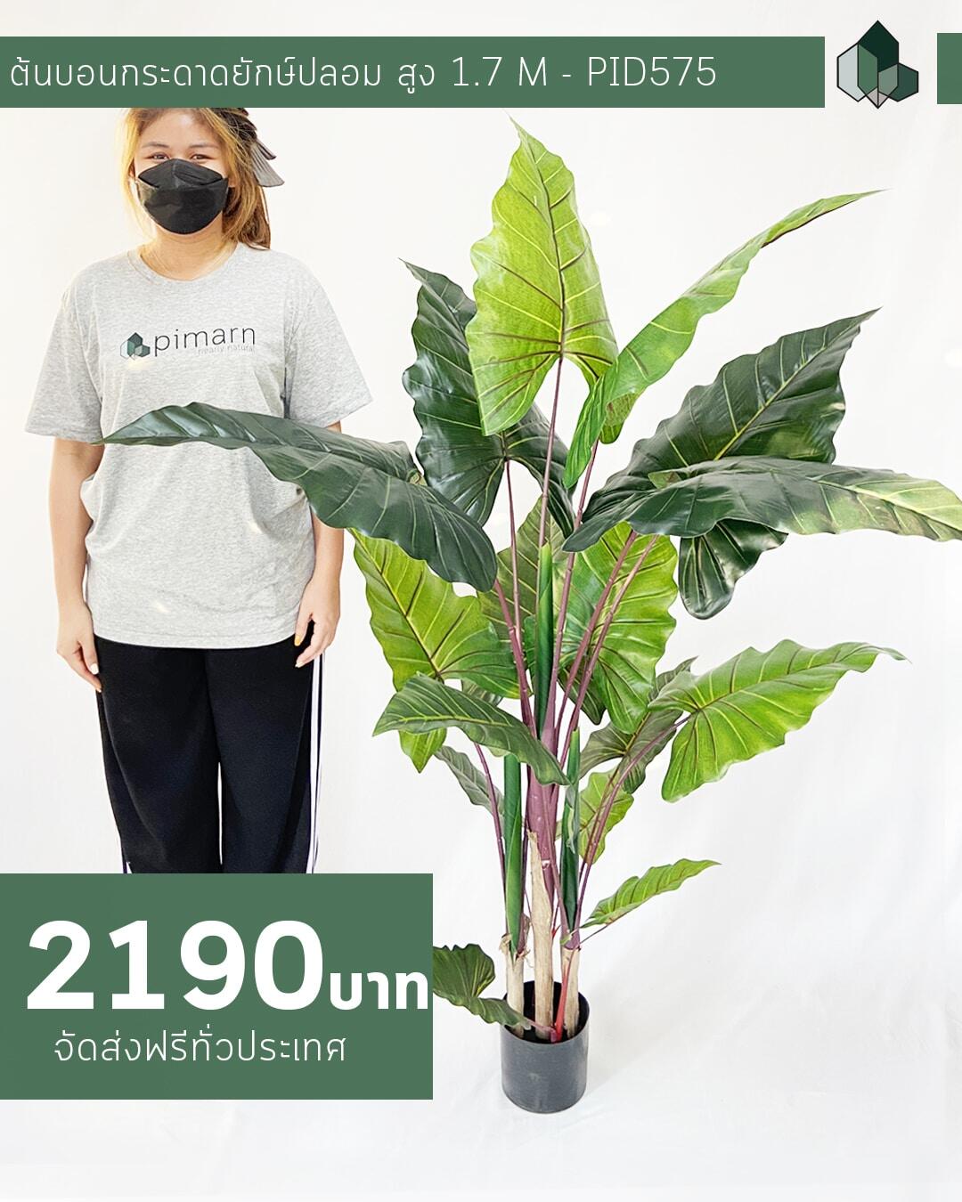 ต้นบอนกระดาดยักษ์ปลอม 170 CM