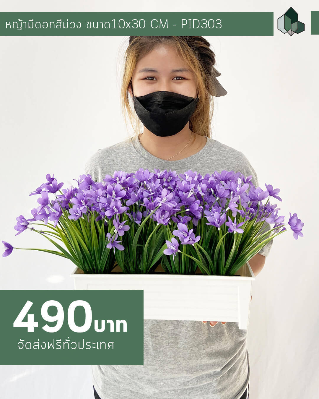 ต้นหญ้ามีดอกปลอม สีม่วง กระถางยาว 30 cm สูง 30 cm
