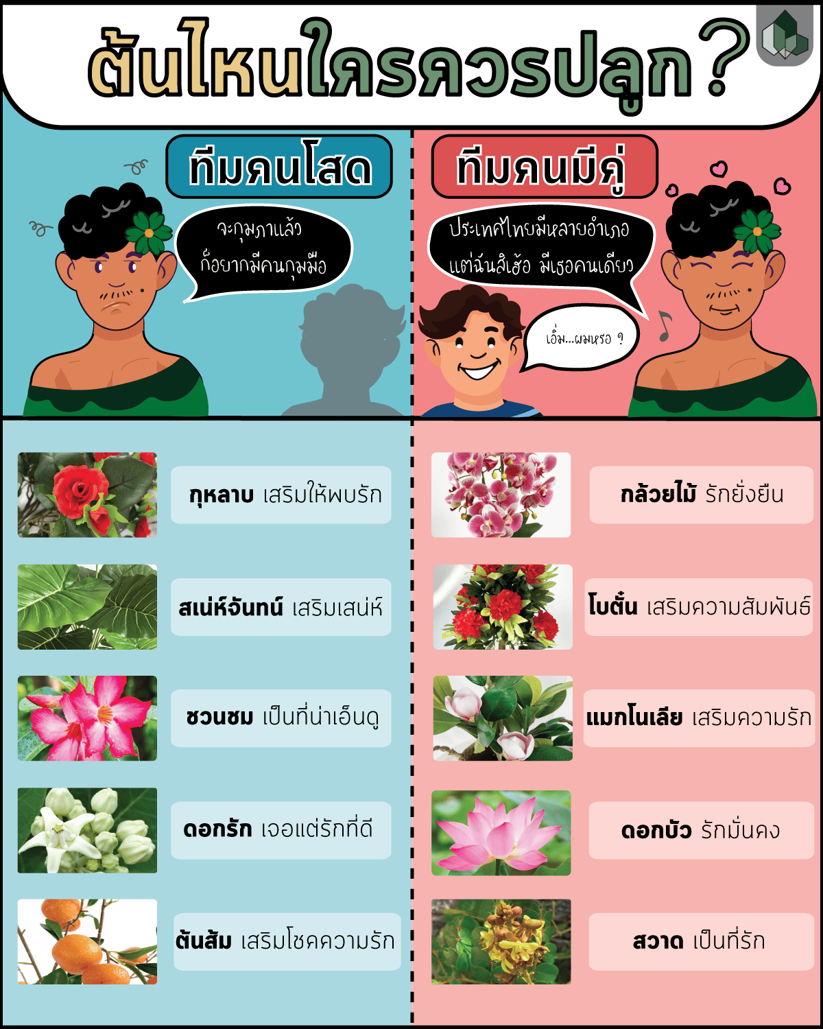 ทีมคนโสด VS ทีมคนมีคู่ ทีมไหนควรปลูกต้นอะไร?
