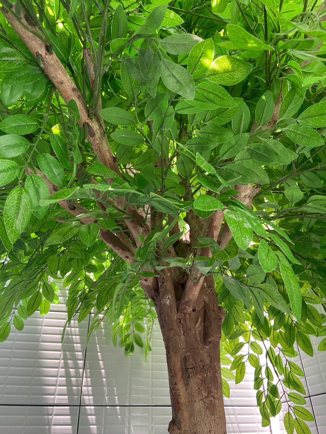 LINE_ALBUM_18365_220320_0
