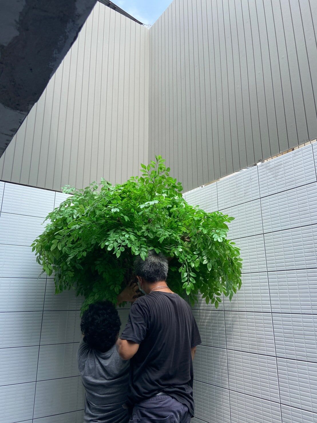 LINE_ALBUM_18365_220320_3