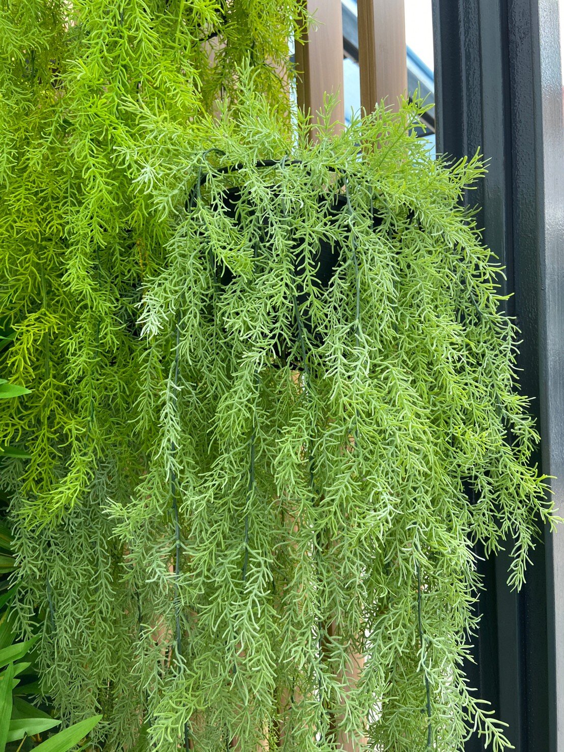 LINE_ALBUM_28265_220304_9