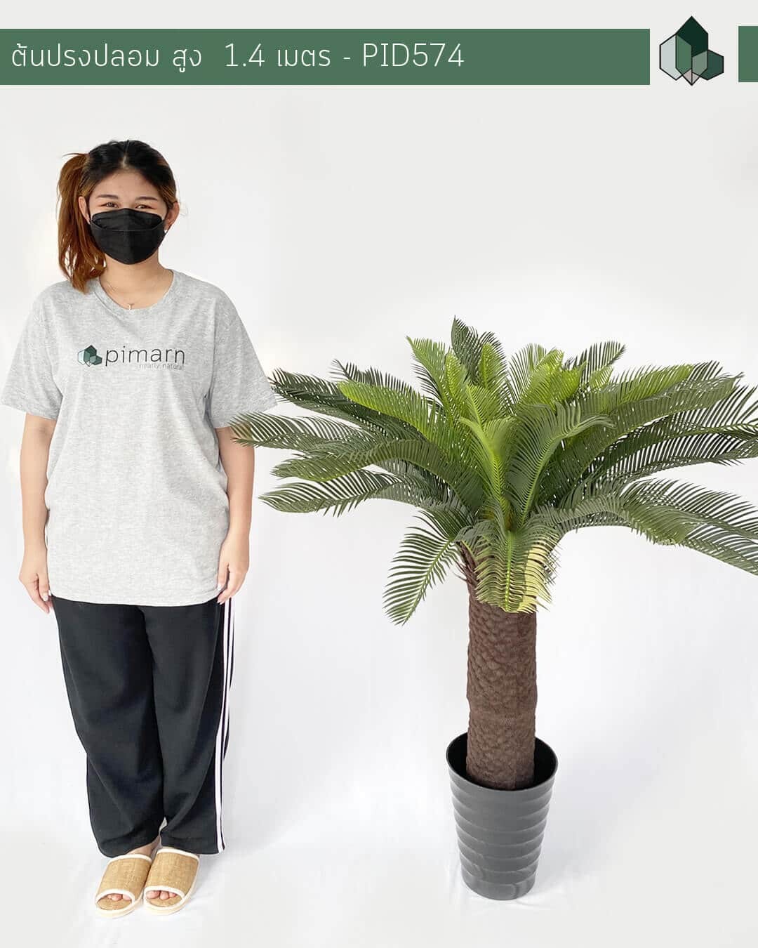ต้นปรงปลอม เหมือนจริง สูง 140 เซนติเมตร