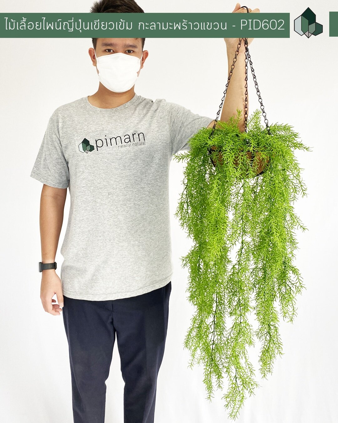 ไม้เลื้อยไพน์ญี่ปุ่นสีเขียวเข้มปลอม แบบแขวน 70 CM