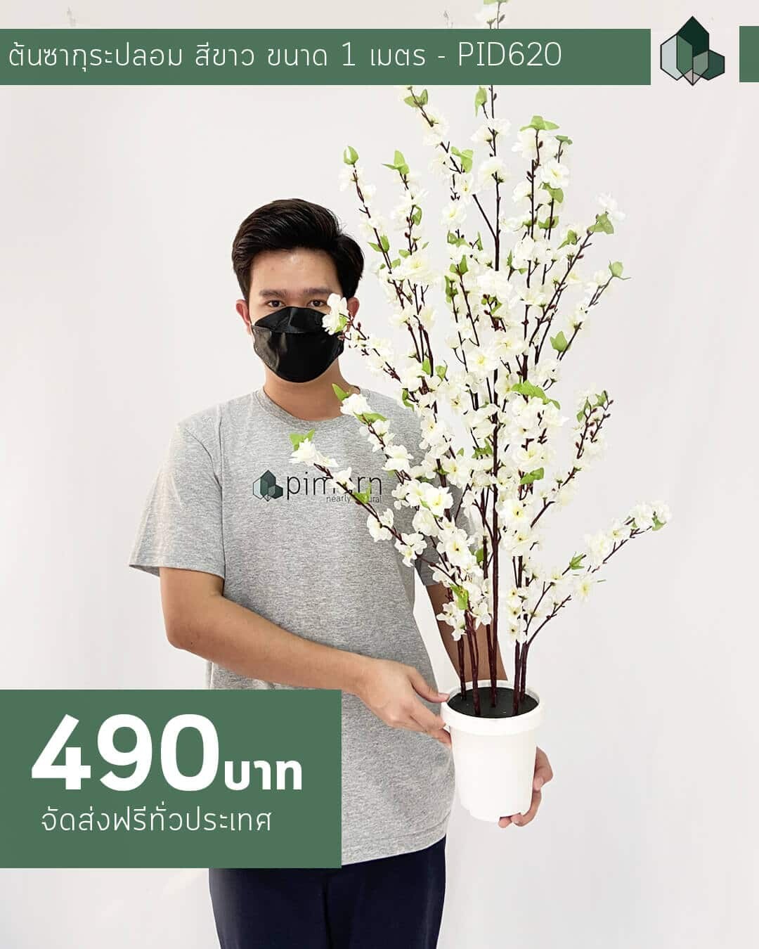 ต้นซากุระปลอม สีขาว สูง 100 CM