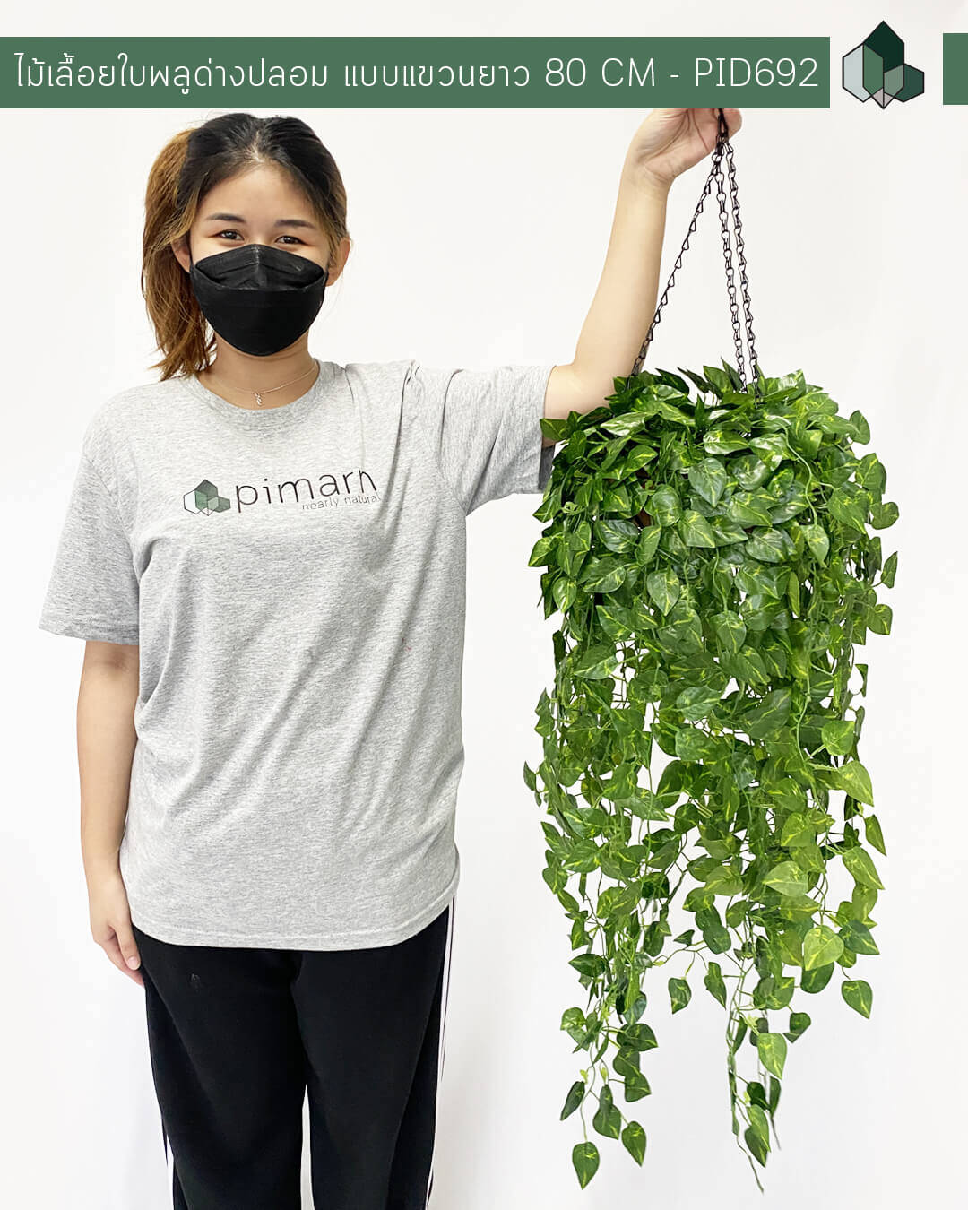 ไม้เลื้อยใบพลูด่างปลอม 80 CM แบบแขวน พร้อมมกระถางใยมะพร้าว