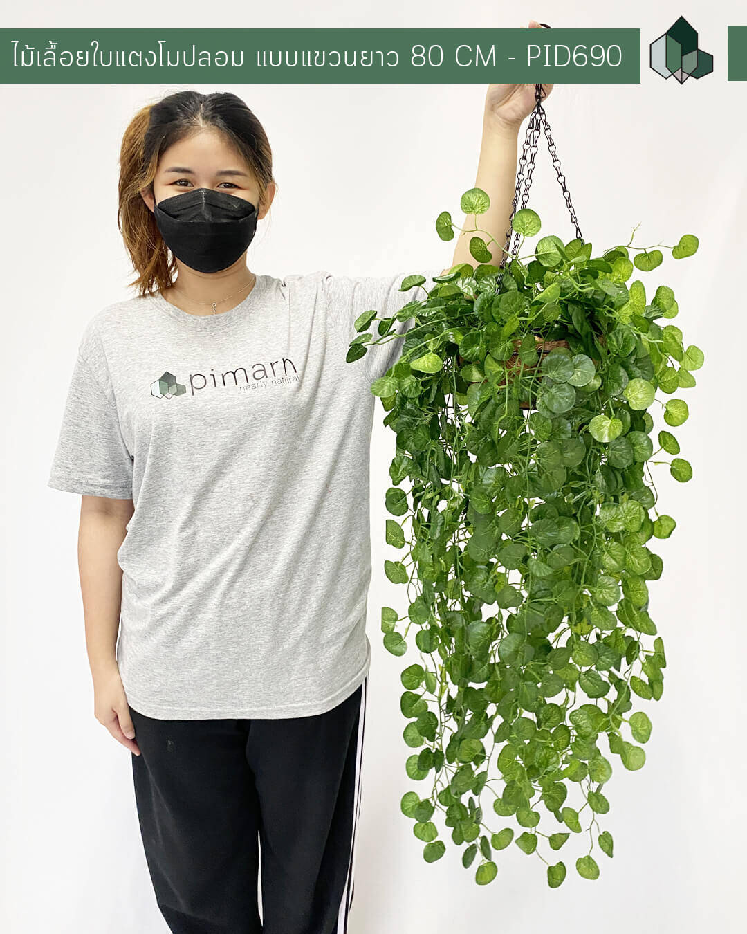 ไม้เลื้อยใบแตงโมปลอม 80 CM แบบแขวน พร้อมมกระถางใยมะพร้าว
