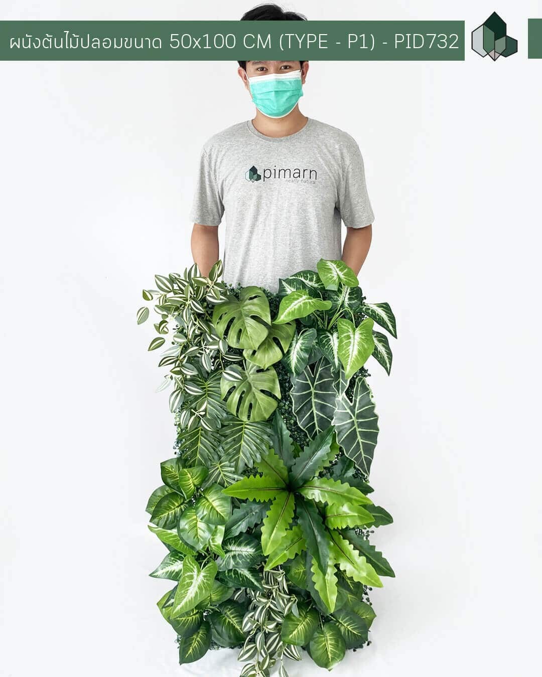 ผนังต้นไม้/เพดานต้นไม้  สำเร็จรูป TYPE - P1 ขนาด 50×100 CM