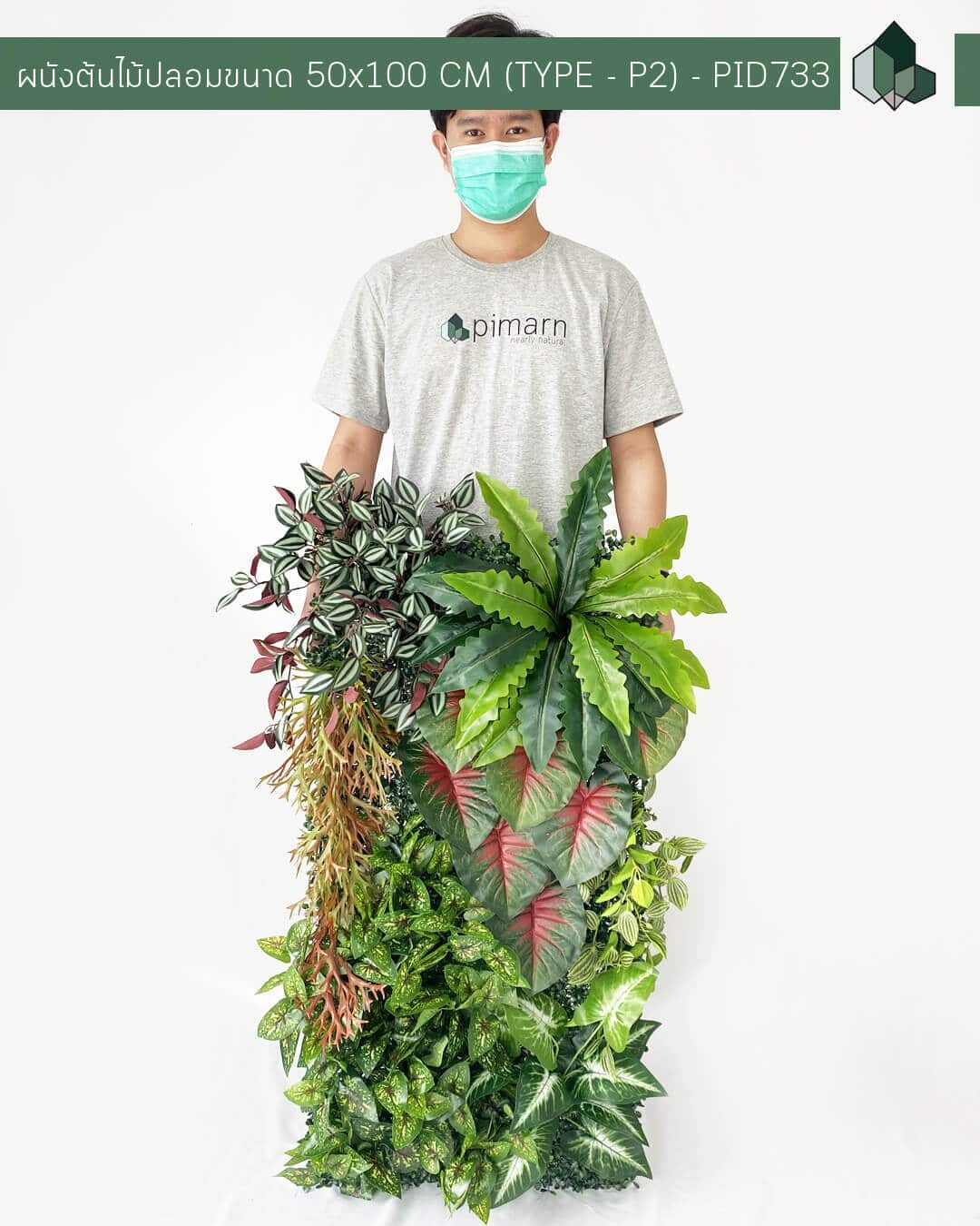 ผนังต้นไม้/เพดานต้นไม้ สำเร็จรูป TYPE – P2 ขนาด 50×100 CM