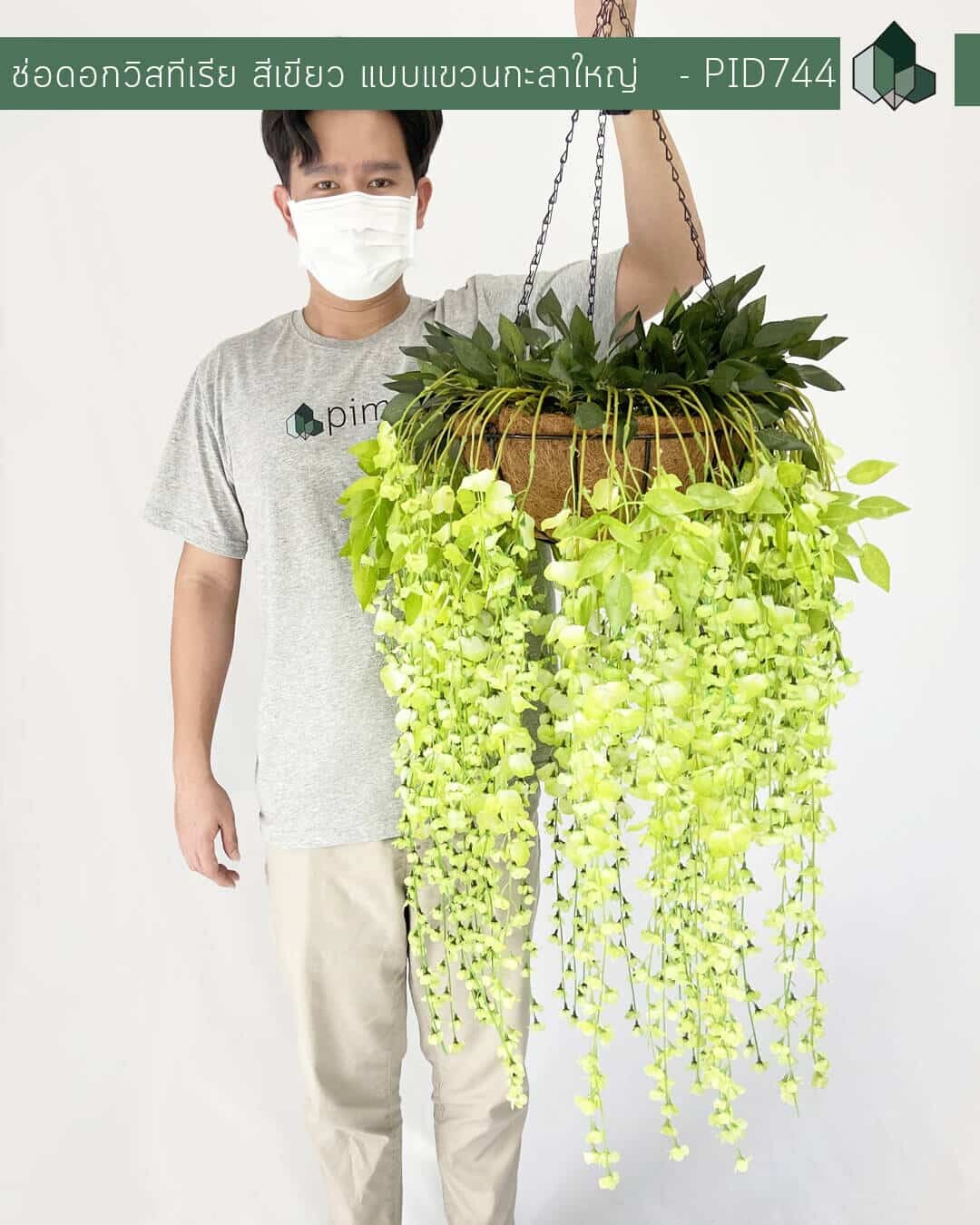 ช่อดอกวิสทีเรียปลอม สีเขียว แบบแขวนกะลาใหญ่