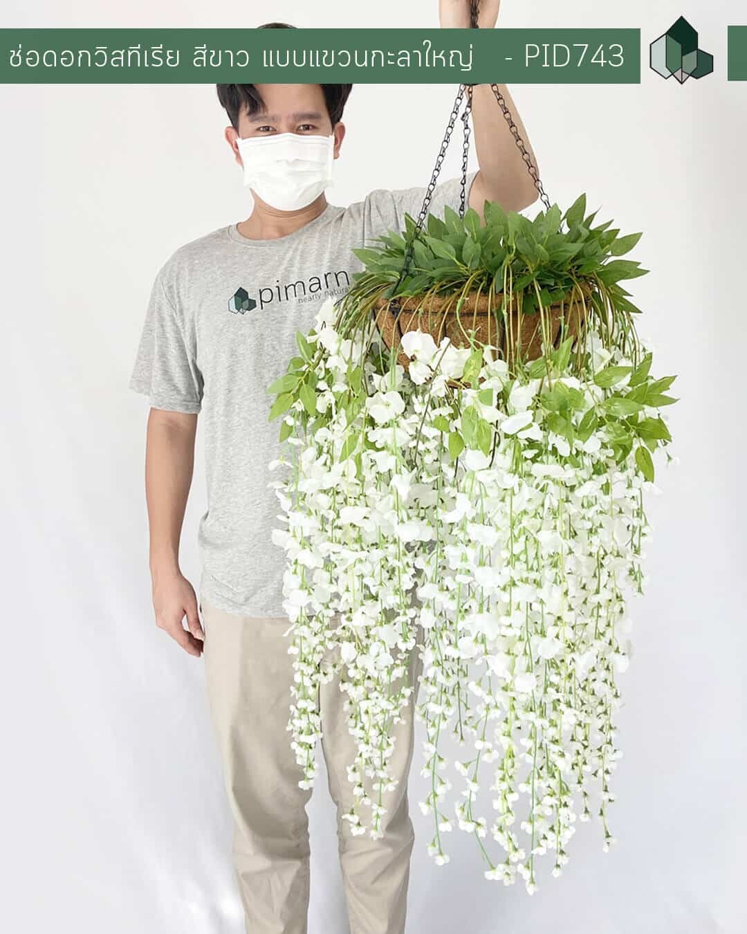 ช่อดอกวิสทีเรียปลอม สีขาว แบบแขวนกะลาใหญ่