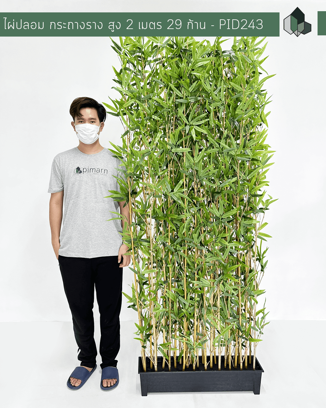 ต้นไผ่ปลอมพรีเมี่ยม  สูง 200 CM