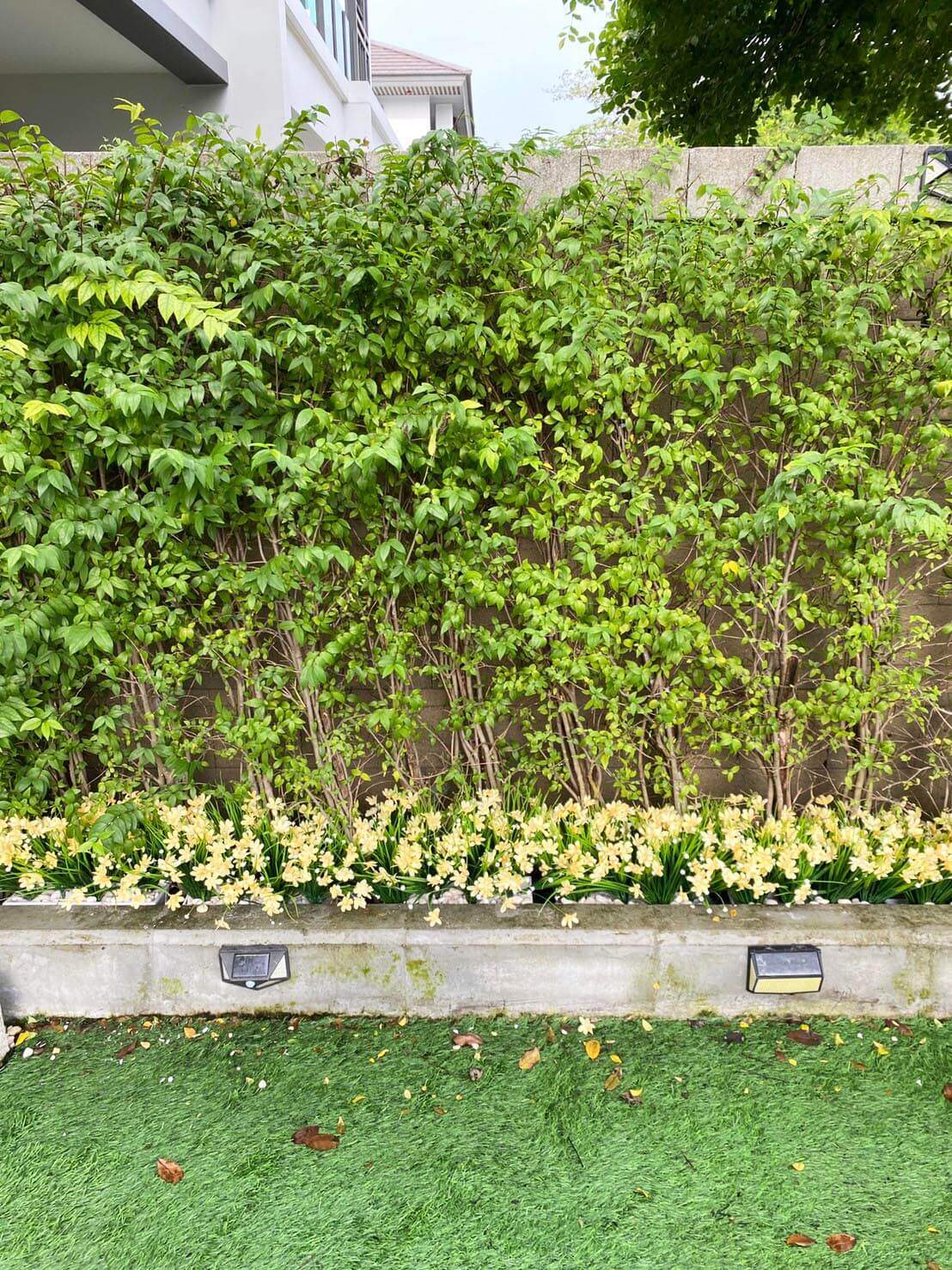 garden07