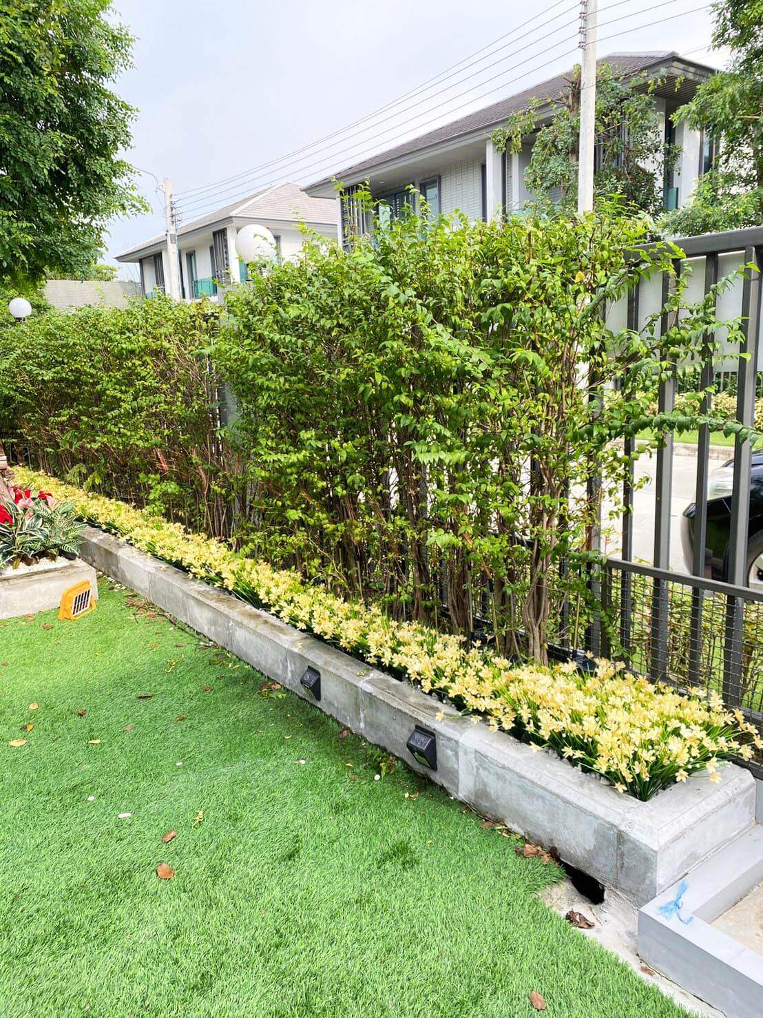 garden08