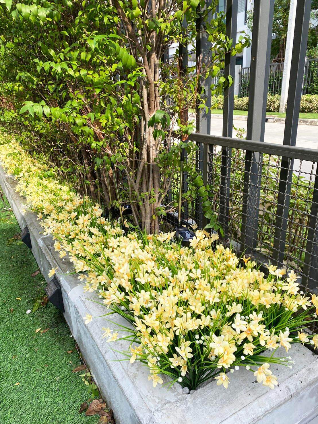 garden08