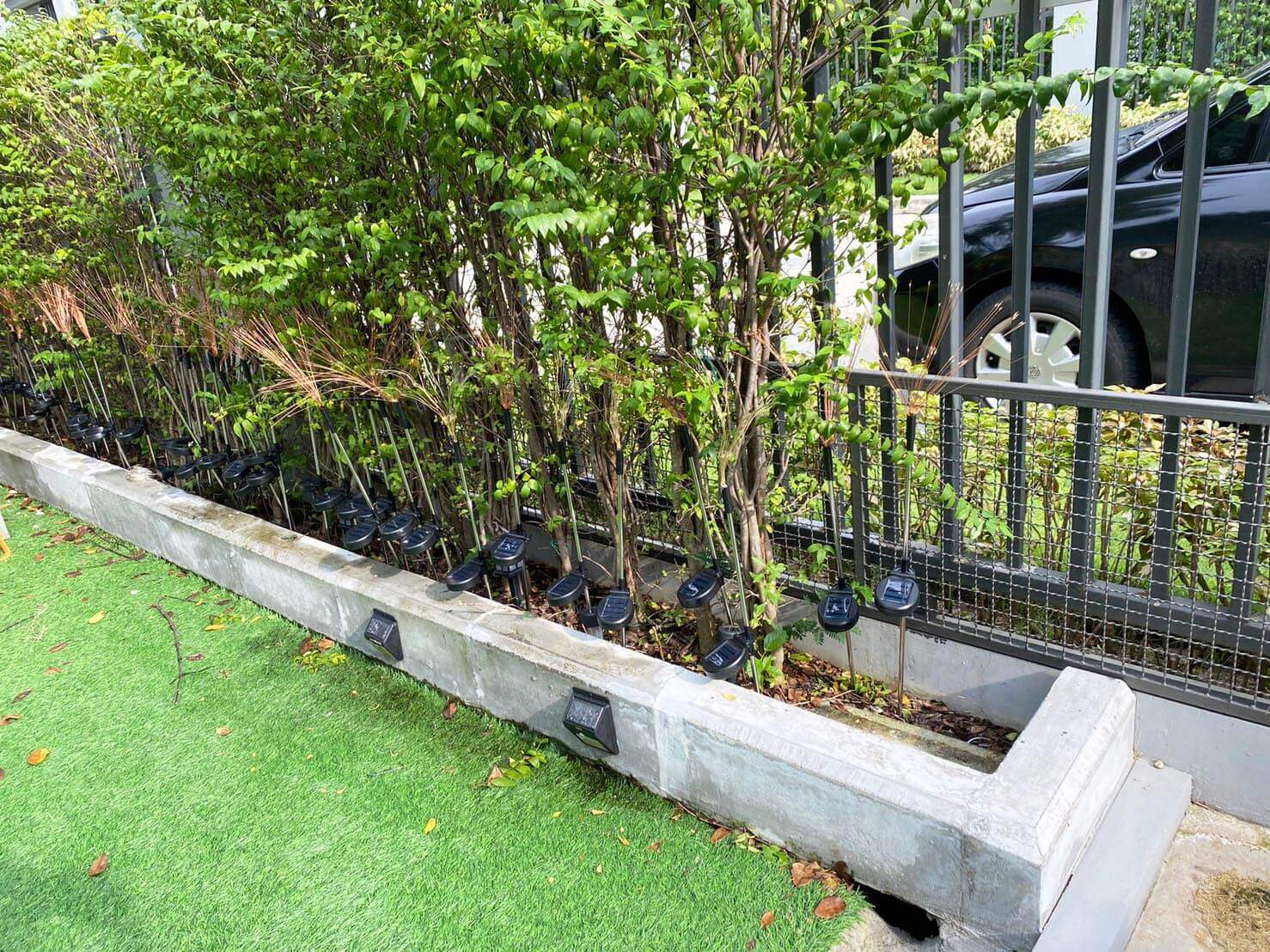 garden09