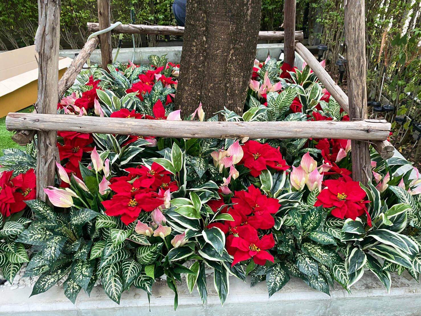 garden03