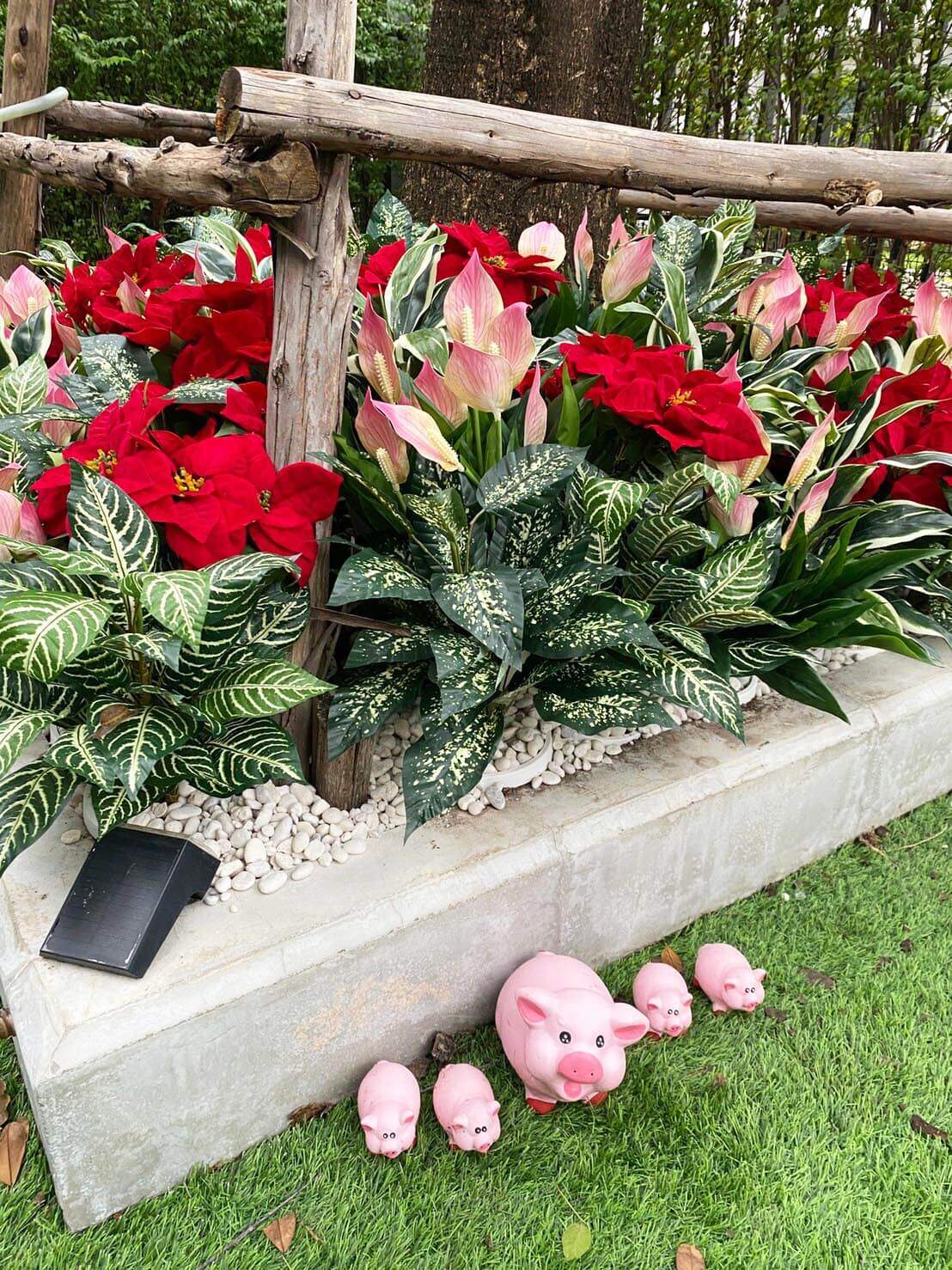 garden04