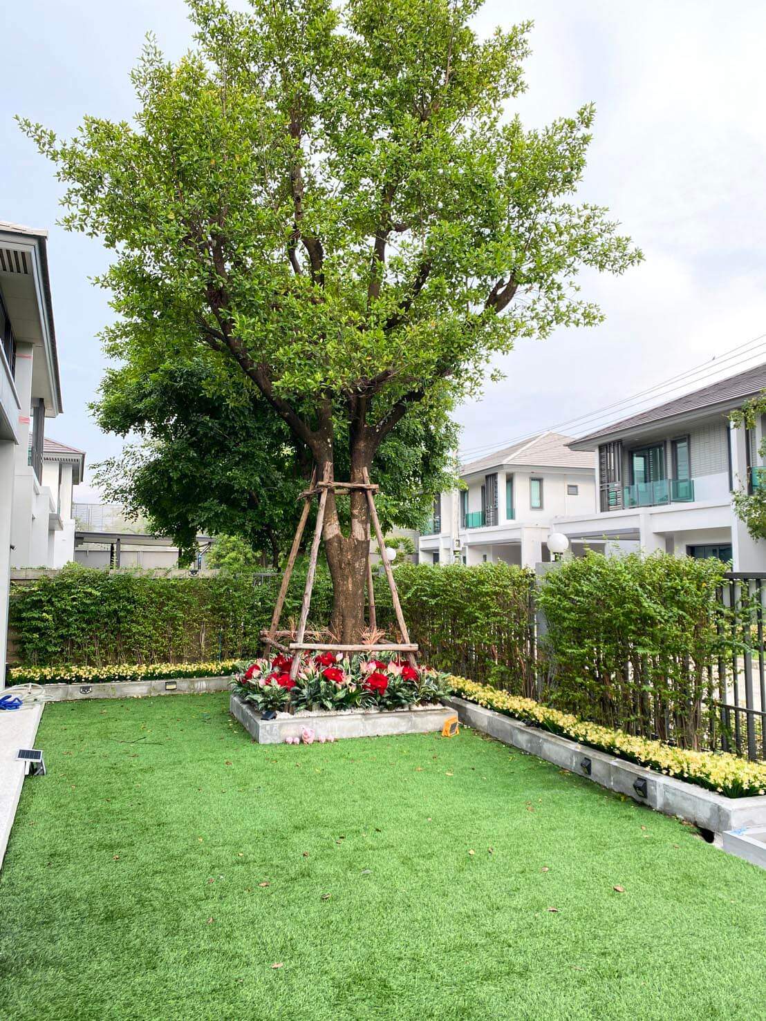 garden010