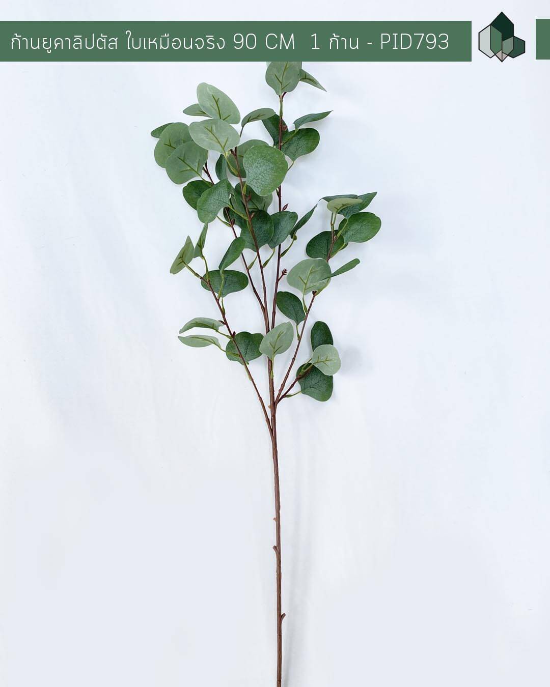 ก้านยูคาลิปตัสปลอมใบเหมือนจริง สีเขียว ขนาด 90 CM